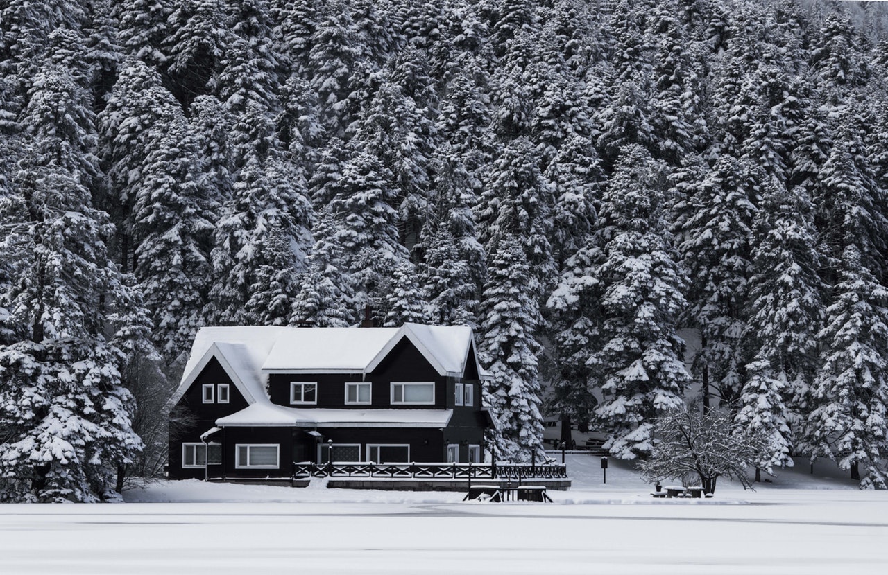 Snowy Home