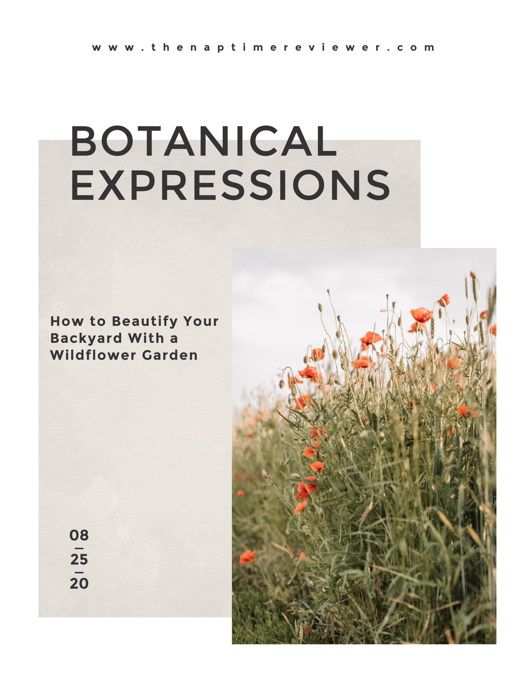 Botanical Expressions - How to Beautify your backyard with a wildflower garden.