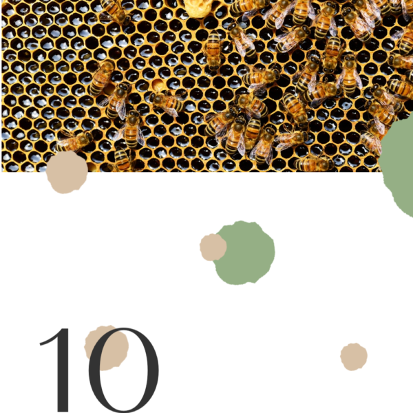 10 Proven Health Benefits of Manuka Honey