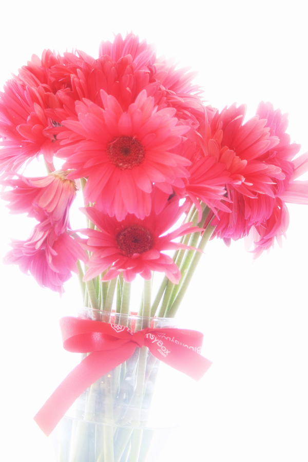 Bloomsybox Flowers of the Month Club