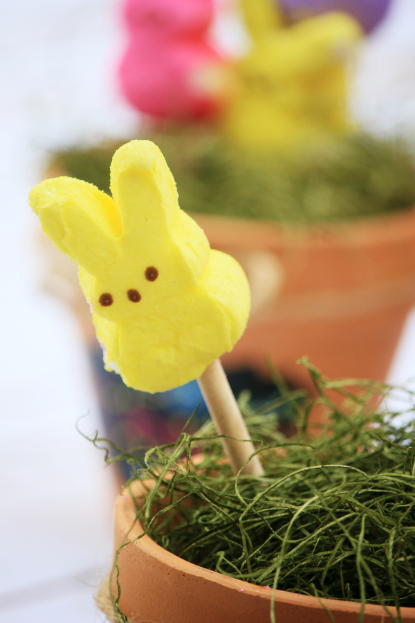 Easter Basket and Easter Decor Ideas - PEEPS Bouquet and Jelly Bean Centerpiece