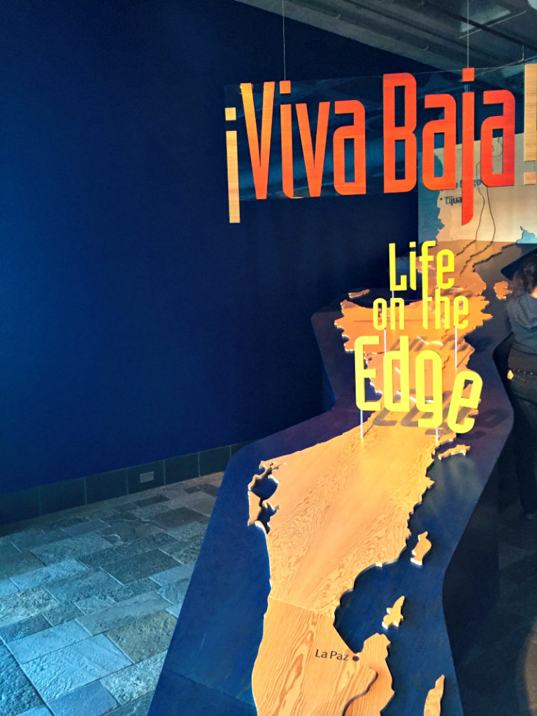 Monterey Bay Aquarium – Viva Baja Exhibit