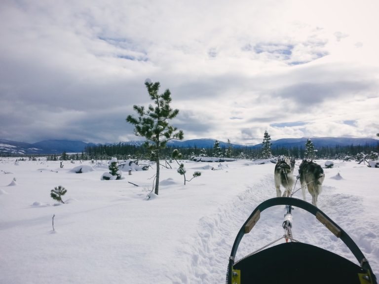 The Ultimate Winter Prep Checklist for Your Home