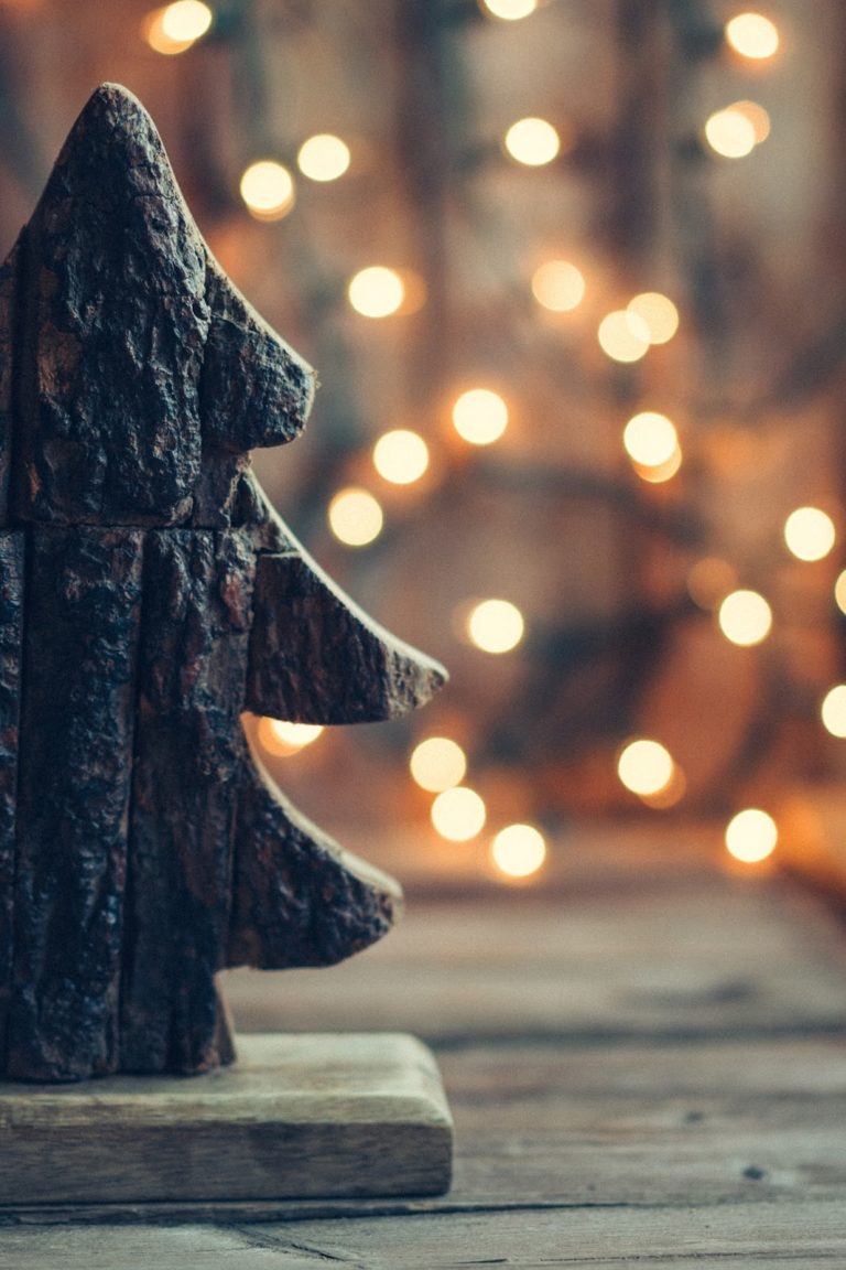Home for the Holidays: Affordable Ways to Get There