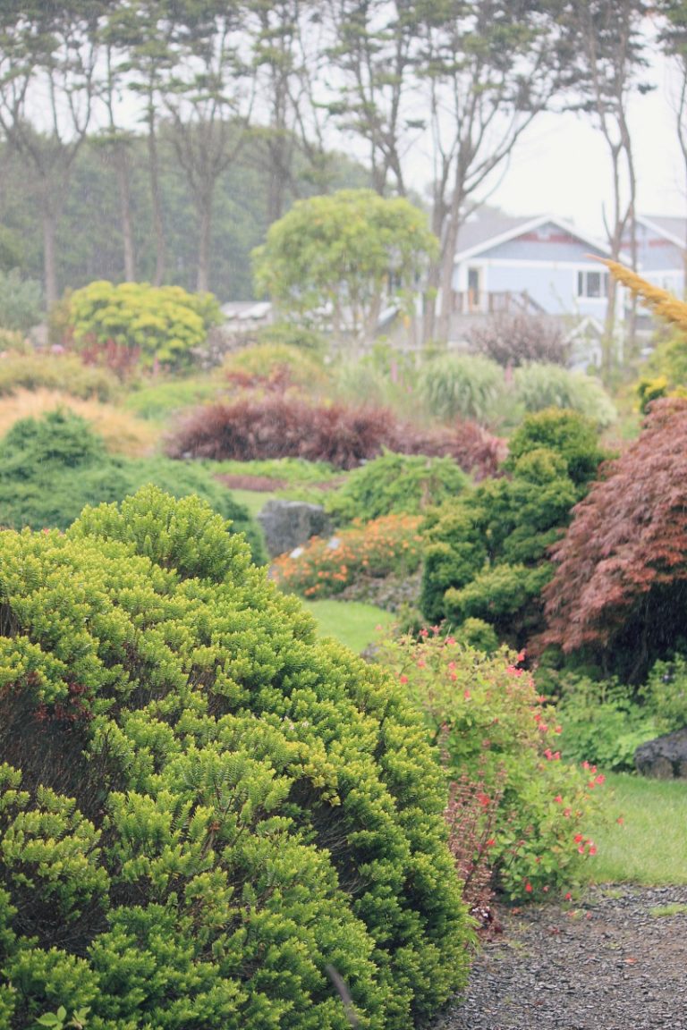 Money Doesn’t Grow On Trees, So Make Your Garden Look Great For Cheap!