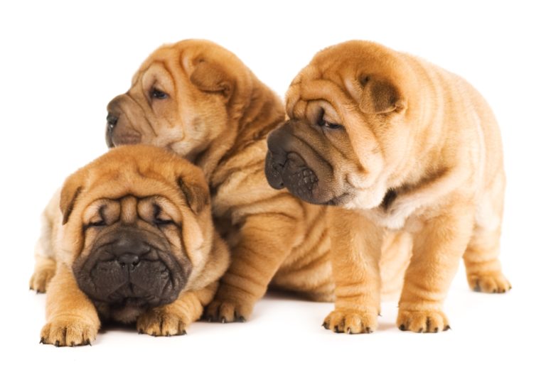 5 Useful Tips to Reduce Wrinkles Under Eyes