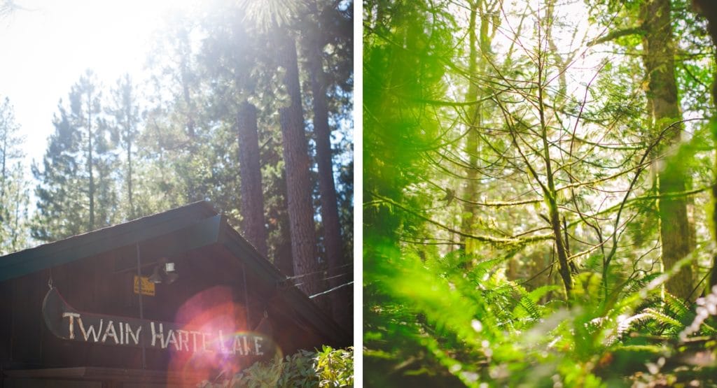 Top 5 Must-Capture Moments on Vacation Twain Hart Lake cabin
