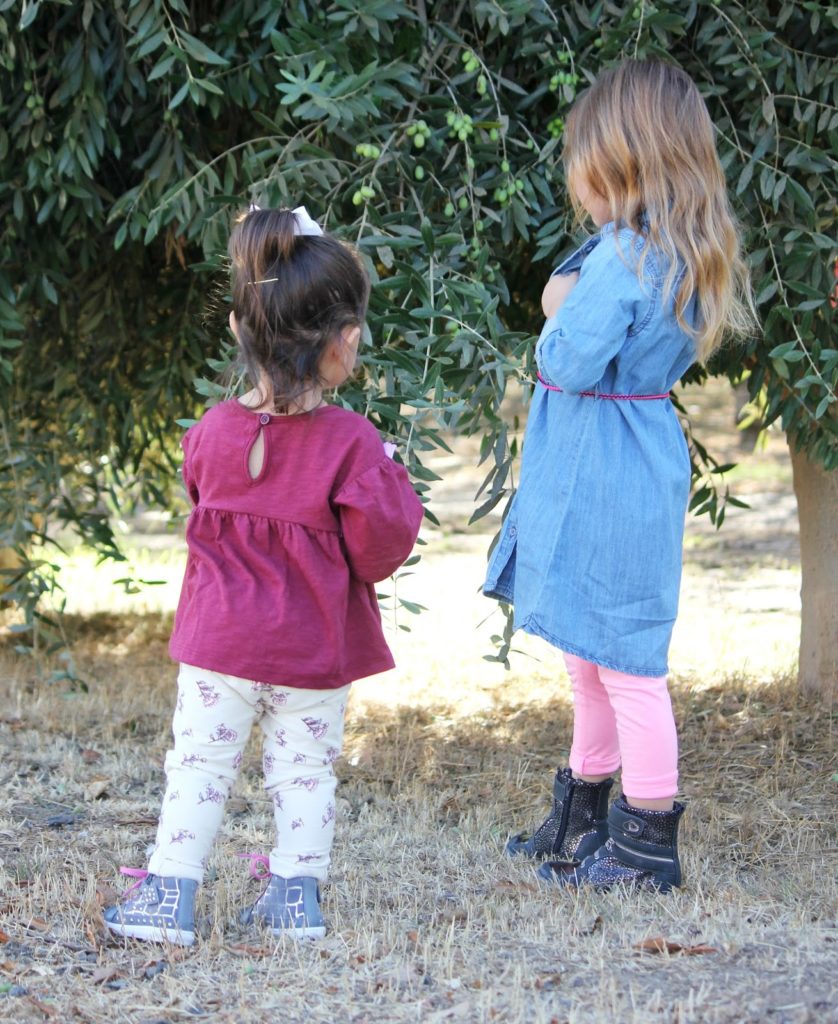 kids in an olive grove