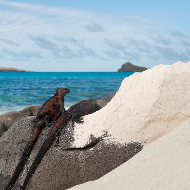 Explore Planet Earth II’s Locations with Exodus Travels