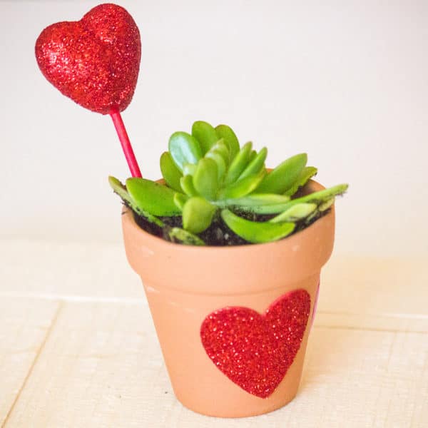 DIY Valentine’s Craft for Kids – Let Love Grow Succulent Heart Flower Pot