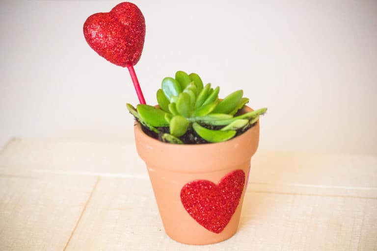 DIY Valentine’s Craft for Kids – Let Love Grow Succulent Heart Flower Pot