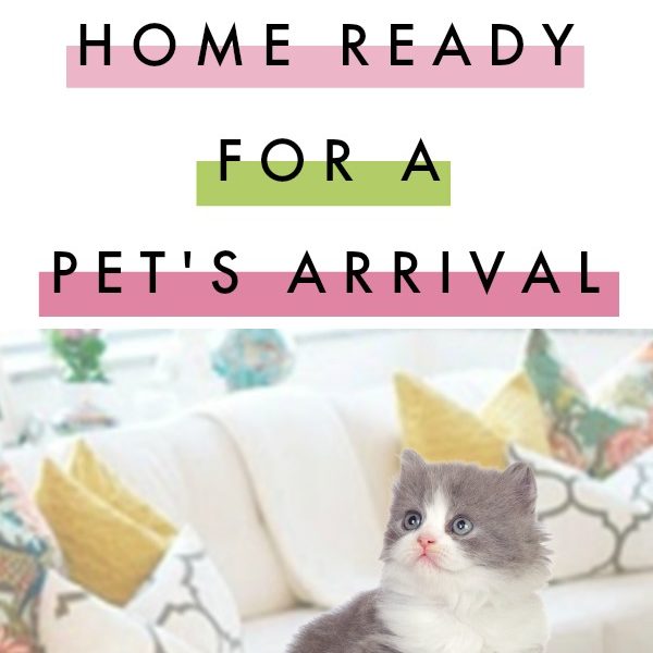 Get The Home Ready For A Pet’s Arrival