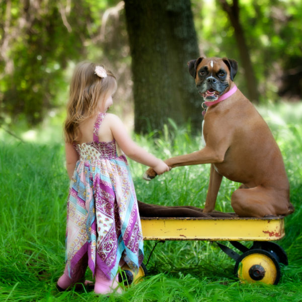 Top 5 Summer Activities Kids and Dogs Love