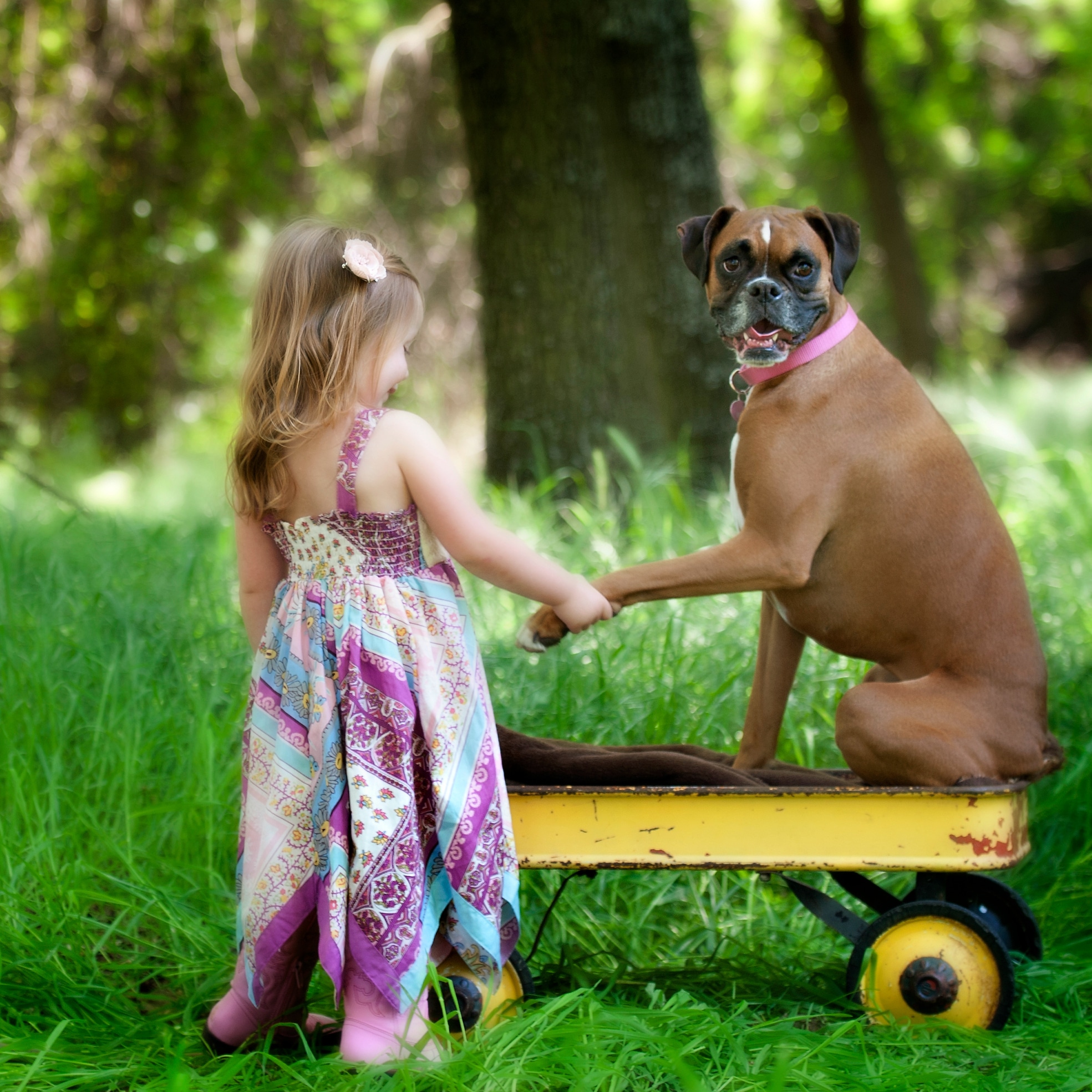 Can A Puppy Help Your Shy Child?
