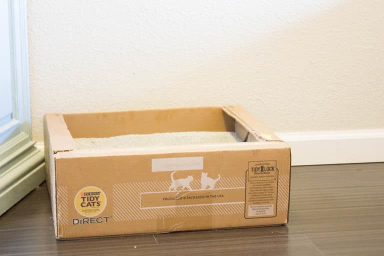Tidy Cats Direct Disposable Litter Box