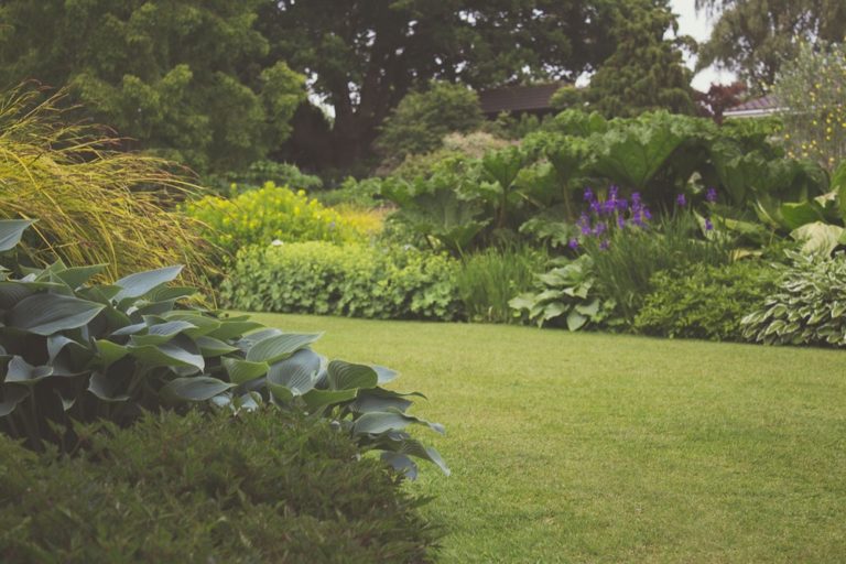 A Tidy Garden