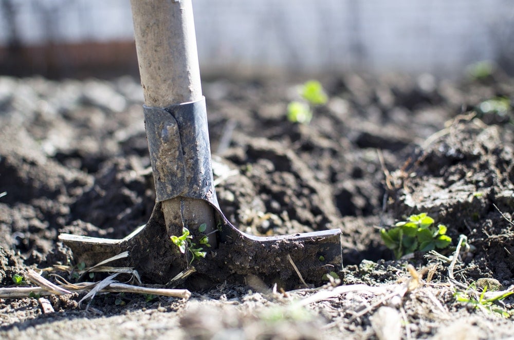 Creating a proper garden