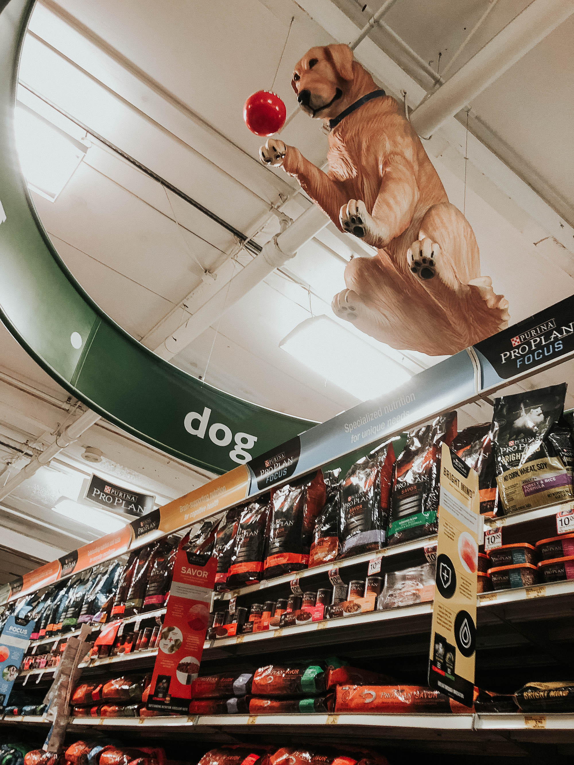 Purina Pro Plan Dog Food