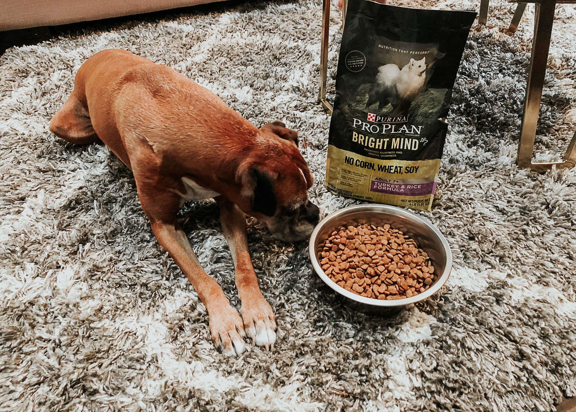 Purina Pro Plan Dog Food