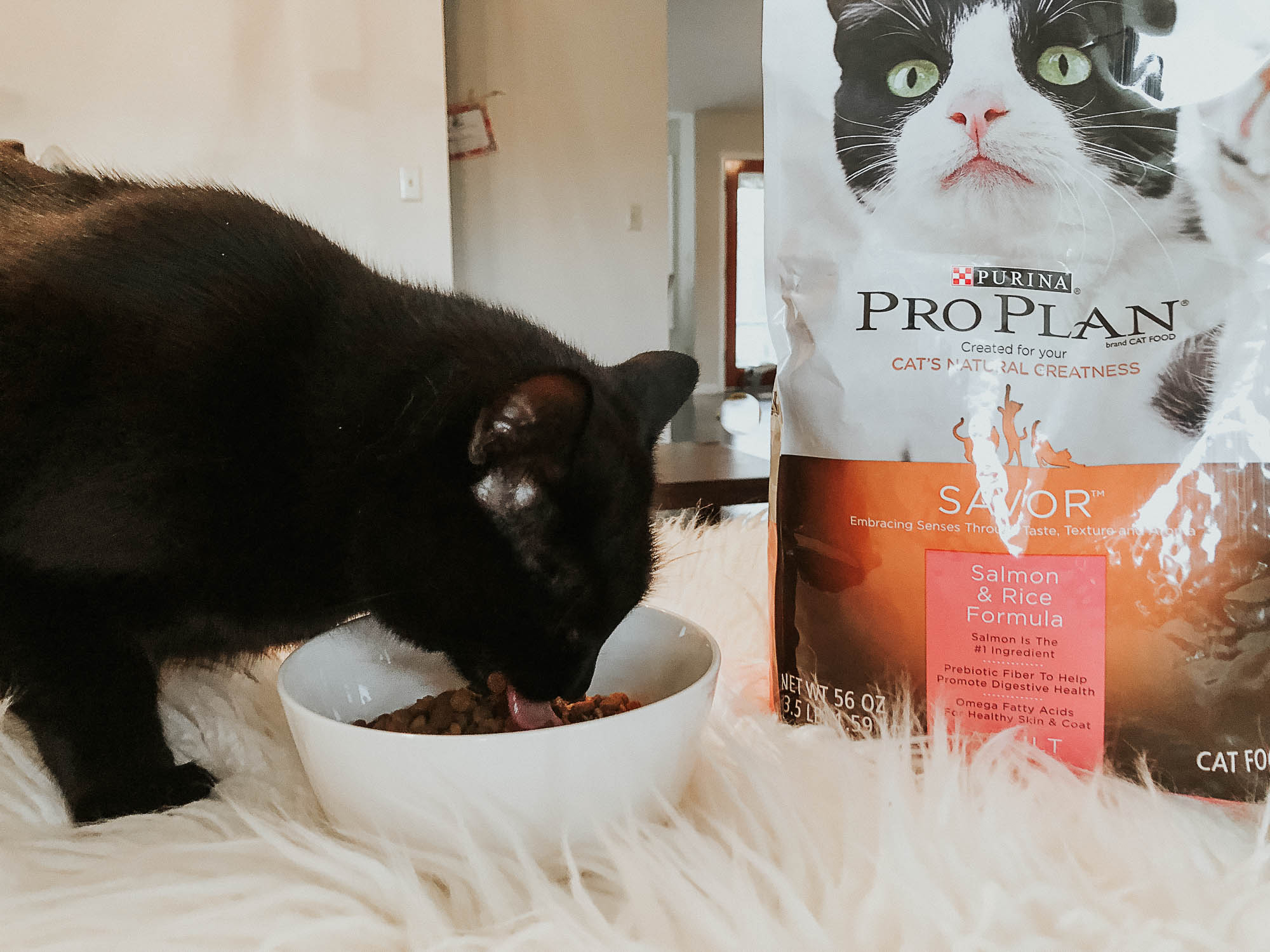 Purina Pro Plan Cat Food
