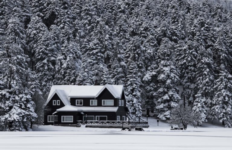 Snowy Home