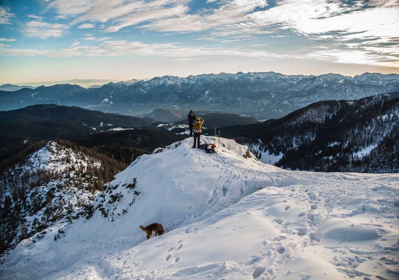 Reasons to Take Your Dog on a Hike