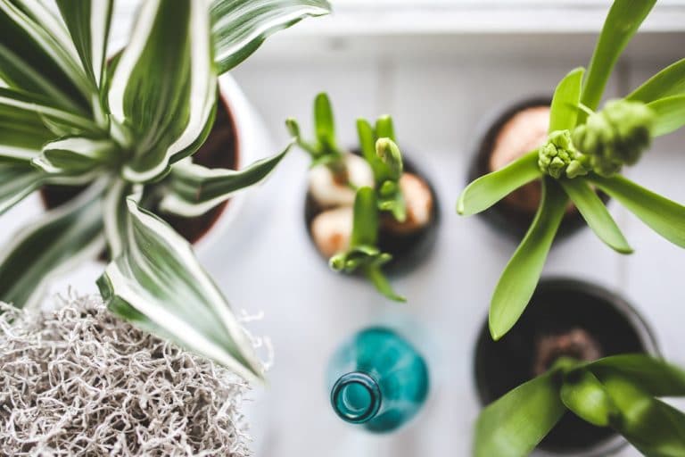 Inexpensive Ways To Spruce Up Your Home For Spring