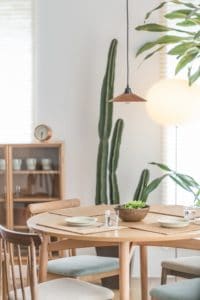 Mid Century Modern Dining Room with Cacti