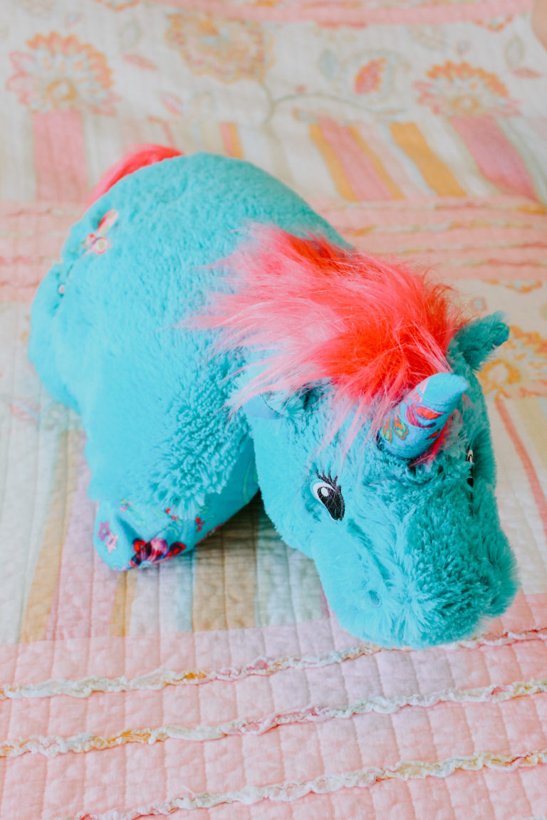 Pillow Pets