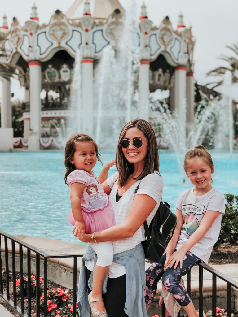 California’s Great America Theme Park Tips