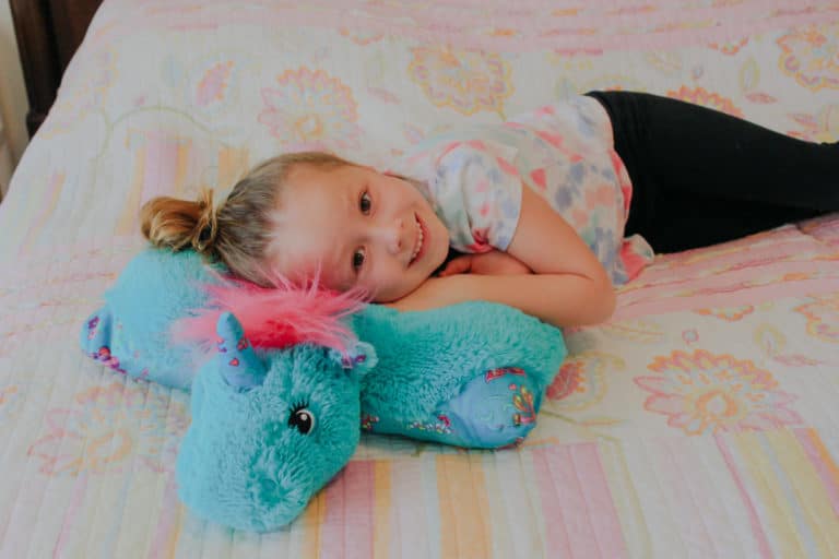 Pillow Pets