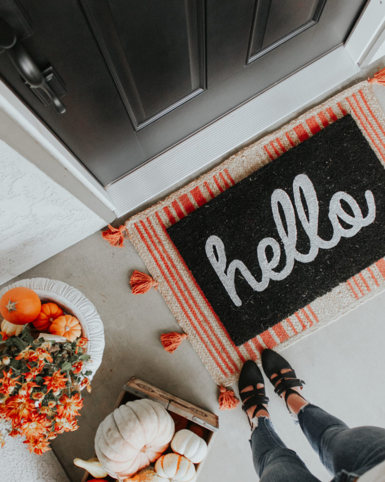 A Simple Fall Pest Check for Your Home