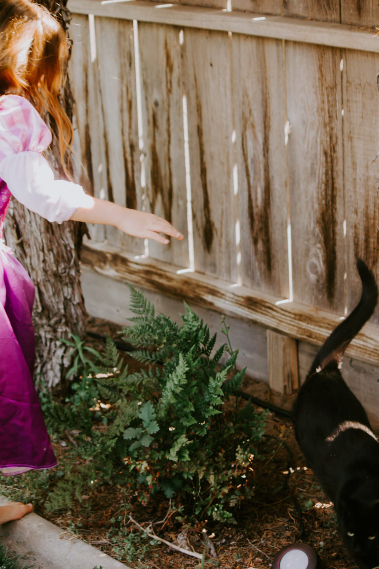 8 Tips to Raise Your Garden Game & Boost Your Property’s Value
