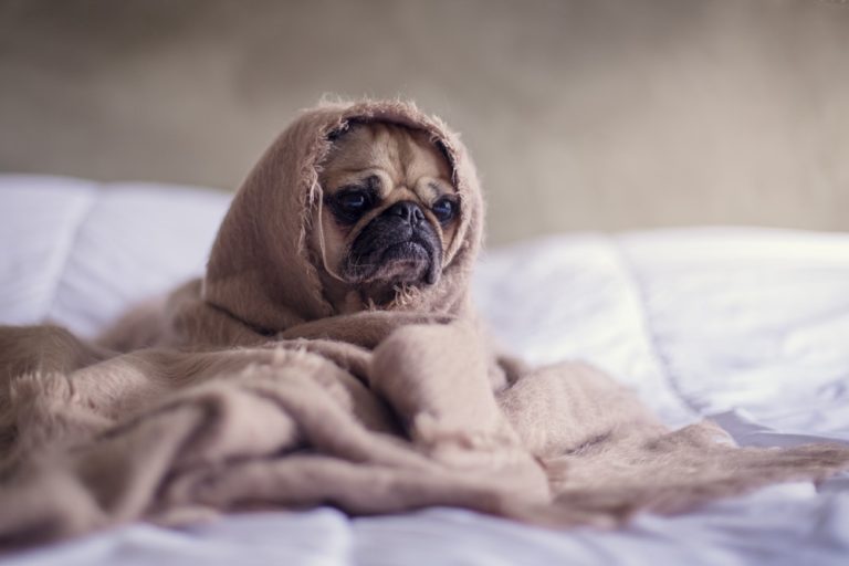 Five Ways Mindfulness can Improve your Mental Health