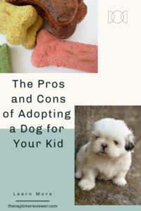 The Pros and Cons of Adopting a Dog for Your Kids