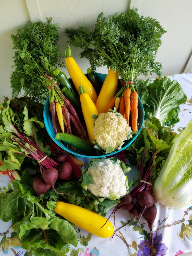Unraveling Food Myths: A Fresh Perspective on Eating Habits
