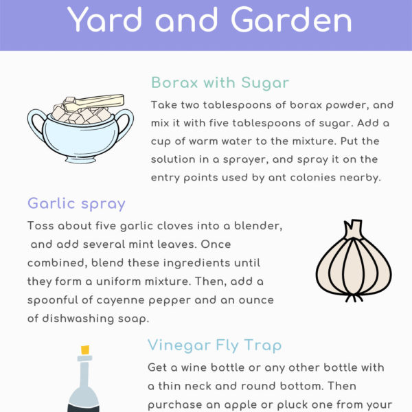 DIY Pest Control Solutions for Your Yard and Garden