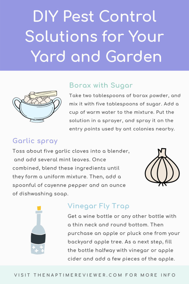DIY Pest Control Solutions for Your Yard and Garden