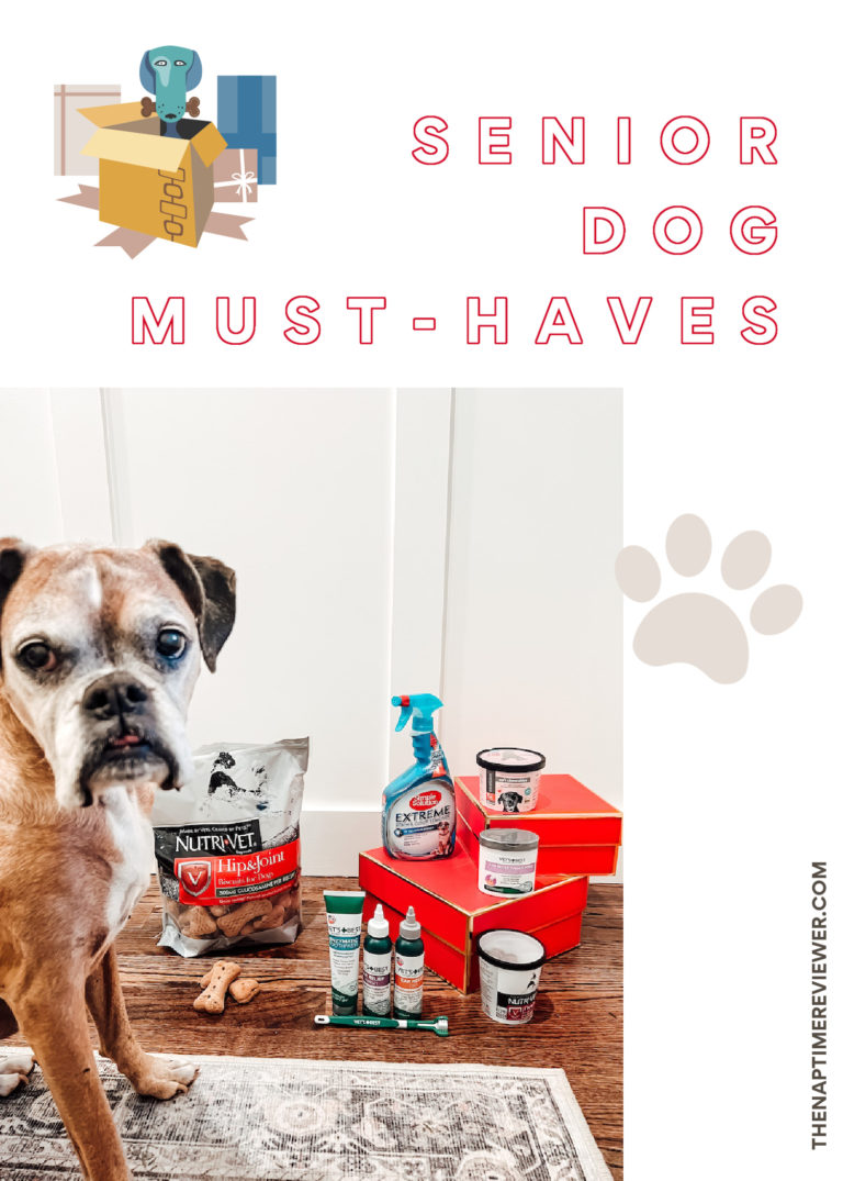 Senior Dog Must-Haves