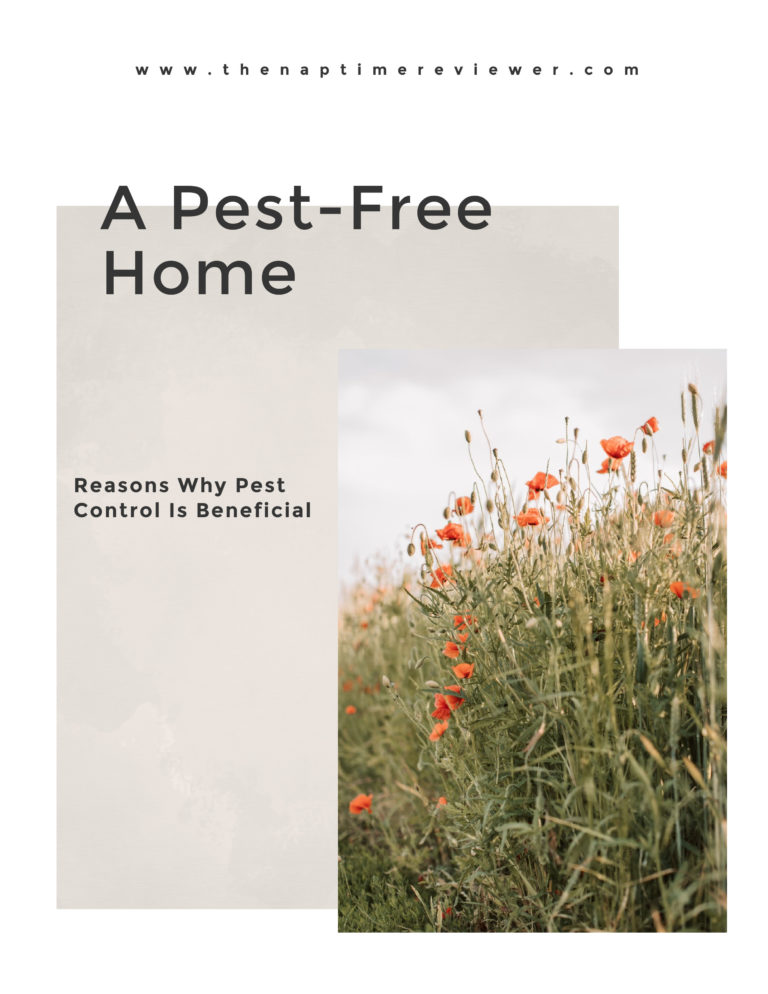 Reasons Why Pest Control Is Beneficial