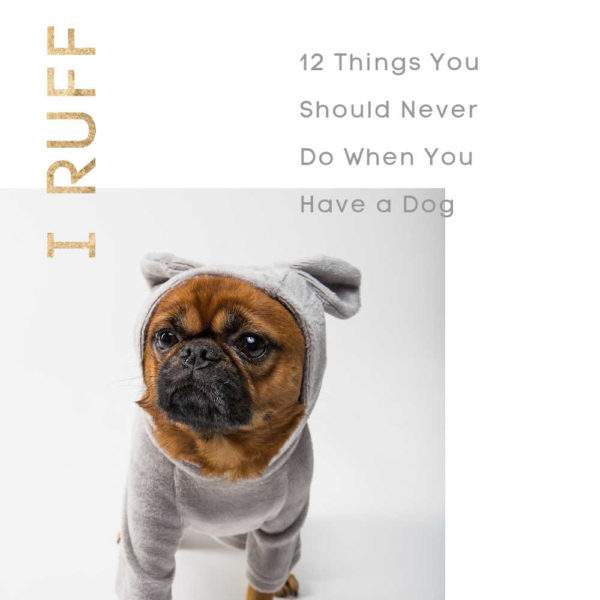 12 Things You Should Never Do When You Have a Dog