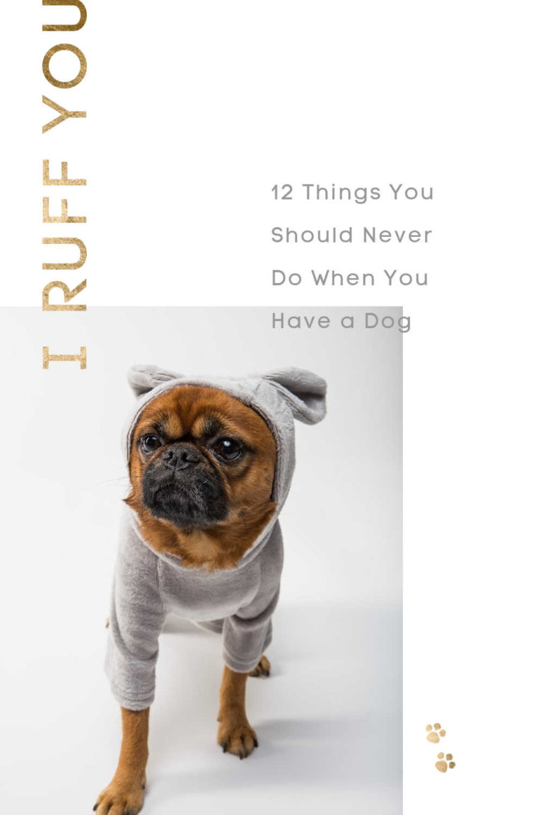 12 Things You Should Never Do When You Have a Dog