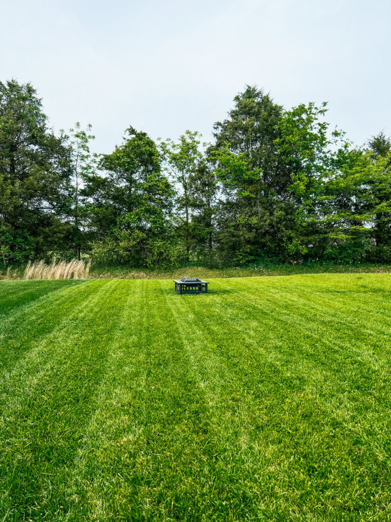 Ethereal Landscapes: The Ultimate Guide to Crafting the Lawn of Your Dreams