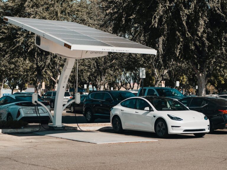 Sustainable Travel: How to Reduce Your Carbon Footprint on the Road