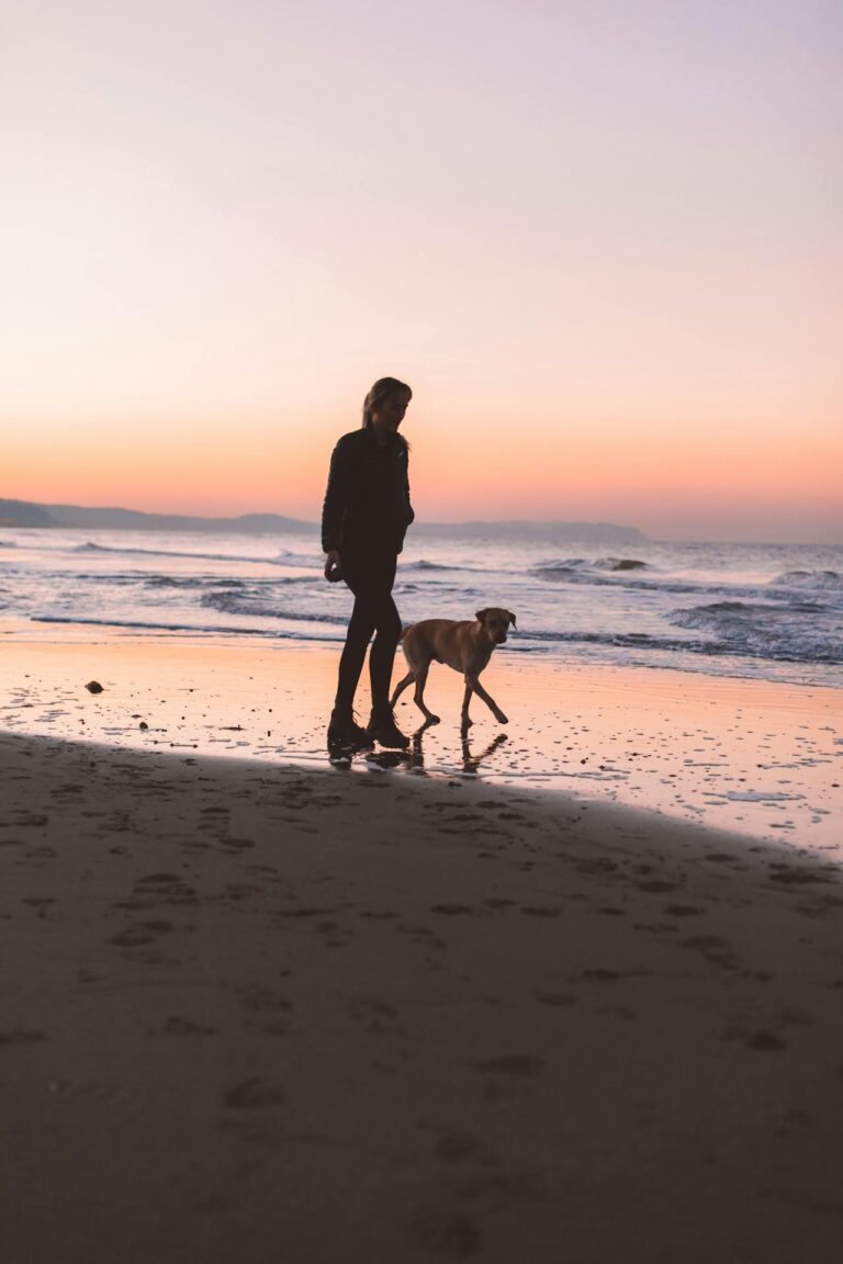 Why You NEED a Dog