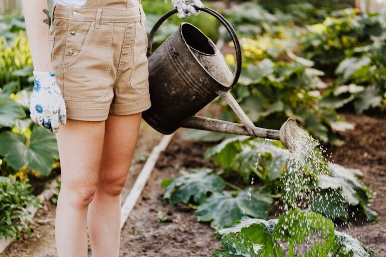 Are You A Hesitant Gardener? Consider This Helpful Guide