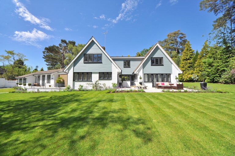 Unveiling the Secrets to a Healthy Lawn with Professional Help