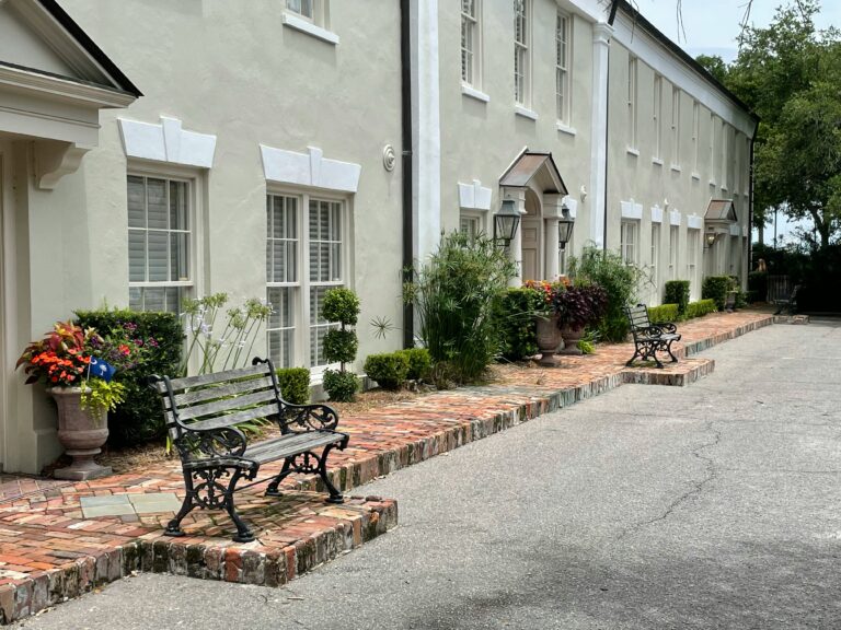 photo of usa, charleston, south carolina, and palm tree in Charleston,