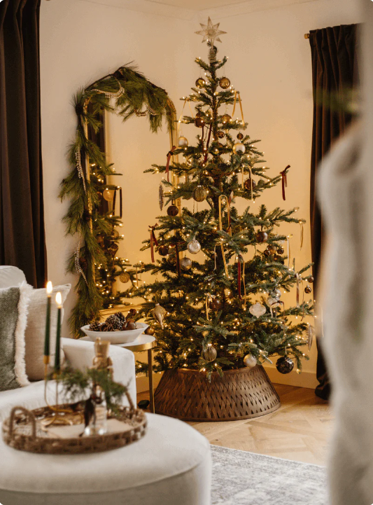 Why King of Christmas Trees are the Ultimate Choice for Holiday Decor