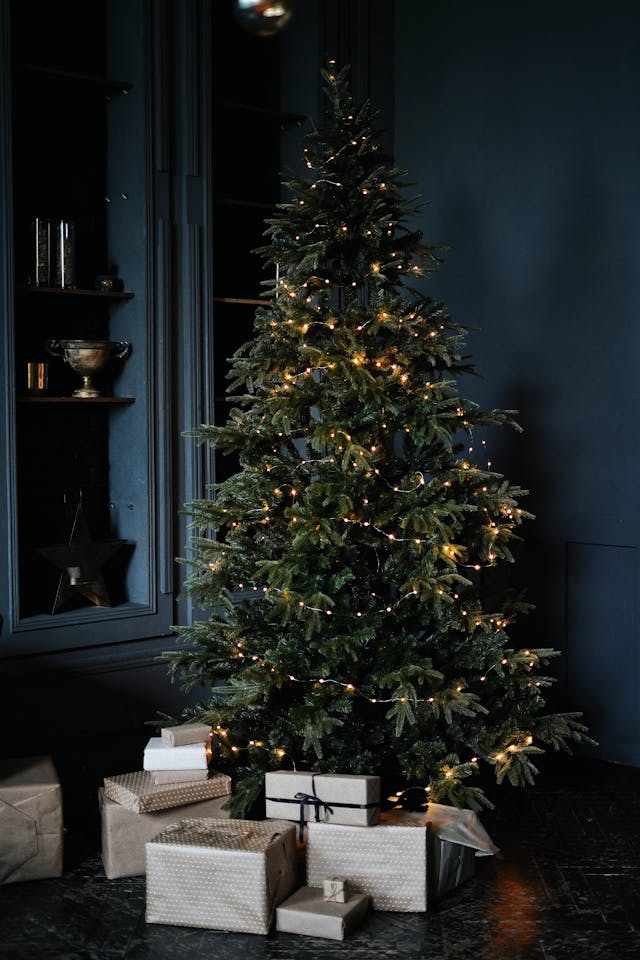 Gift Boxes under festive tree